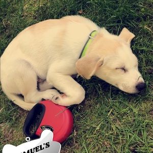 Meet your Posher, Sam